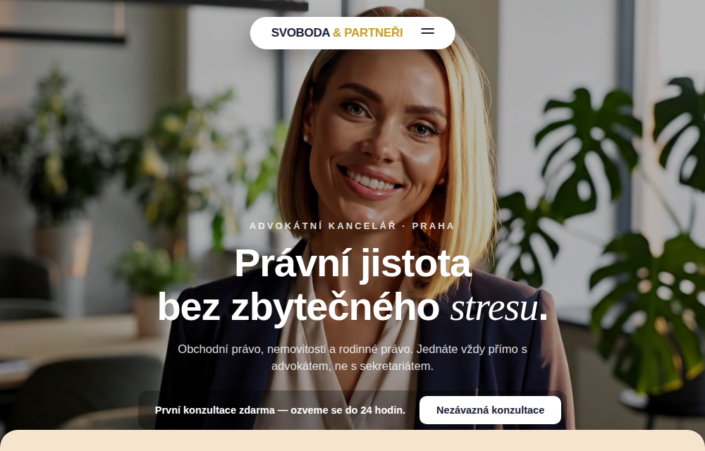 Náhled šablony Profesionální služby
